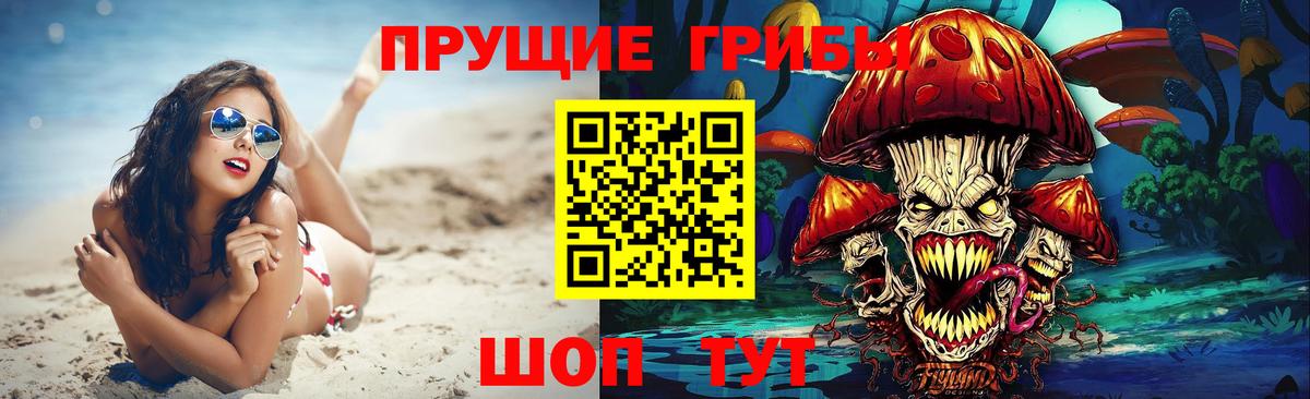 Псилоцибиновые грибы Psilocybine cubensis Шахты