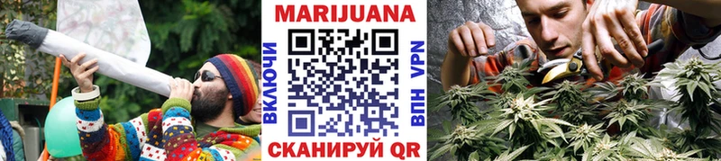 закладки  Шахты  Канабис индика 